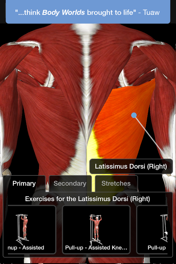   iMuscle 2 – Capture d'écran 