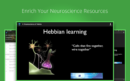Neuroscience Basics poster 6