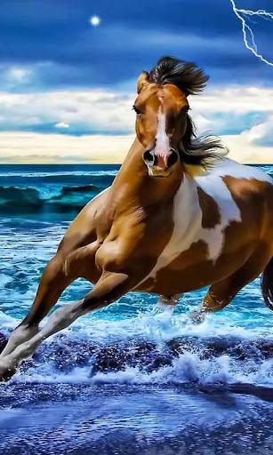 Horses Free HD Live Wallpaper