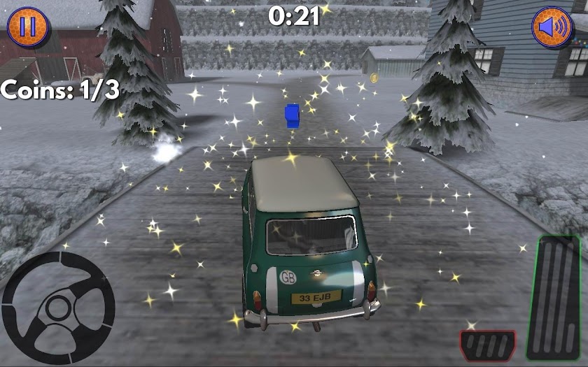 Coin Rally Pro Screen 2