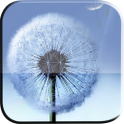 Galaxy S3 Dandelion LWP icon