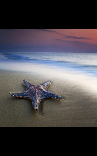 Galaxy Starfish Live Wallpaper