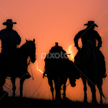 Nightwatch by Gary Hanson -  