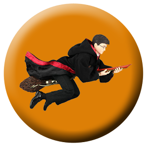 Potter Quidditch 1.1