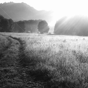 by Codrutza Iana - Black & White Landscapes