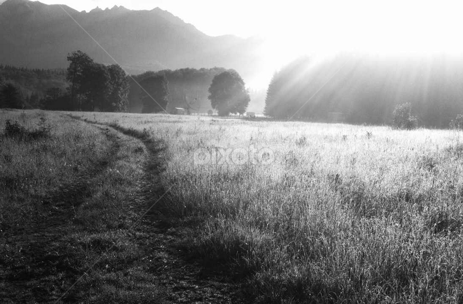 by Codrutza Iana - Black & White Landscapes