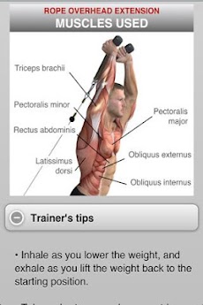 Muscle Building - Arms & Legsのおすすめ画像5