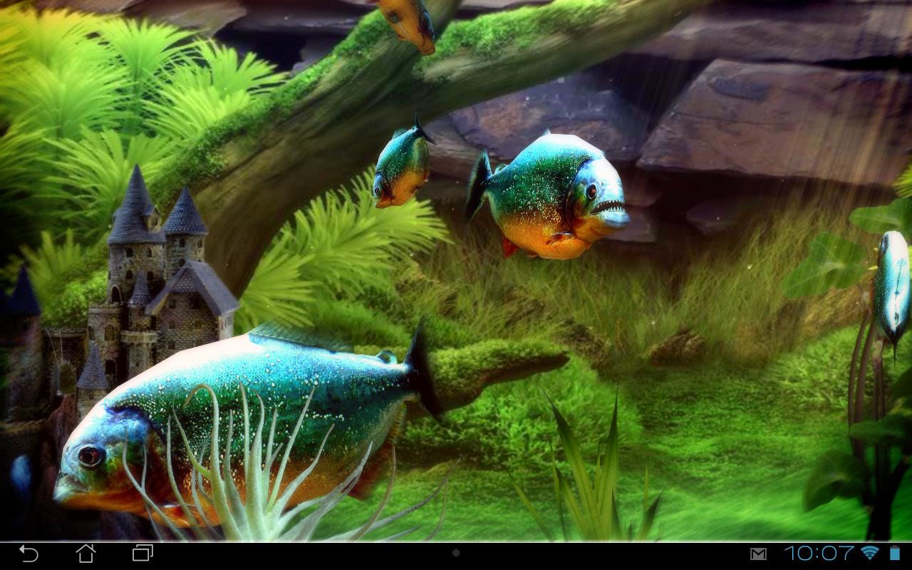 Piranha Aquarium 3D Lwp Apl Android Di Google Play