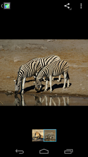 Gallery ICS (classic version)(圖2)-速報App