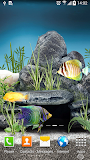 Aquarium Live Wallpaper