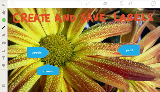 Stage: Whiteboard and Camera(圖8)-速報App