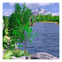 Summer Live Wallpaper2.2