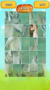 Kangaroo Jigsaw Puzzles Screenshots 3