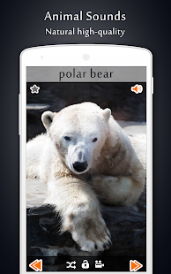 Animal Sounds - Android Apps on Google Play