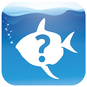 What Fish UK logo