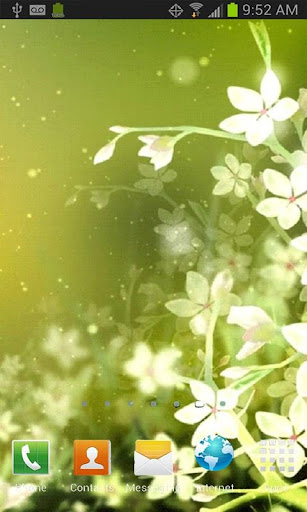 White Flower Live Wallpaper