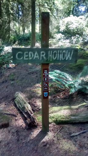 Cedar Hollow