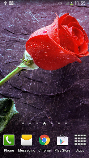 Rain Rose Live Wallpaper