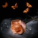 Pink Butterflies Flying n Rose