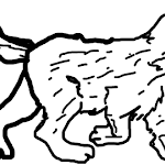 Draw a cat - Tried my best!