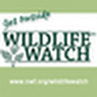 wildlife_watch