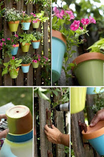 DIY Garden Ideas(圖3)-速報App