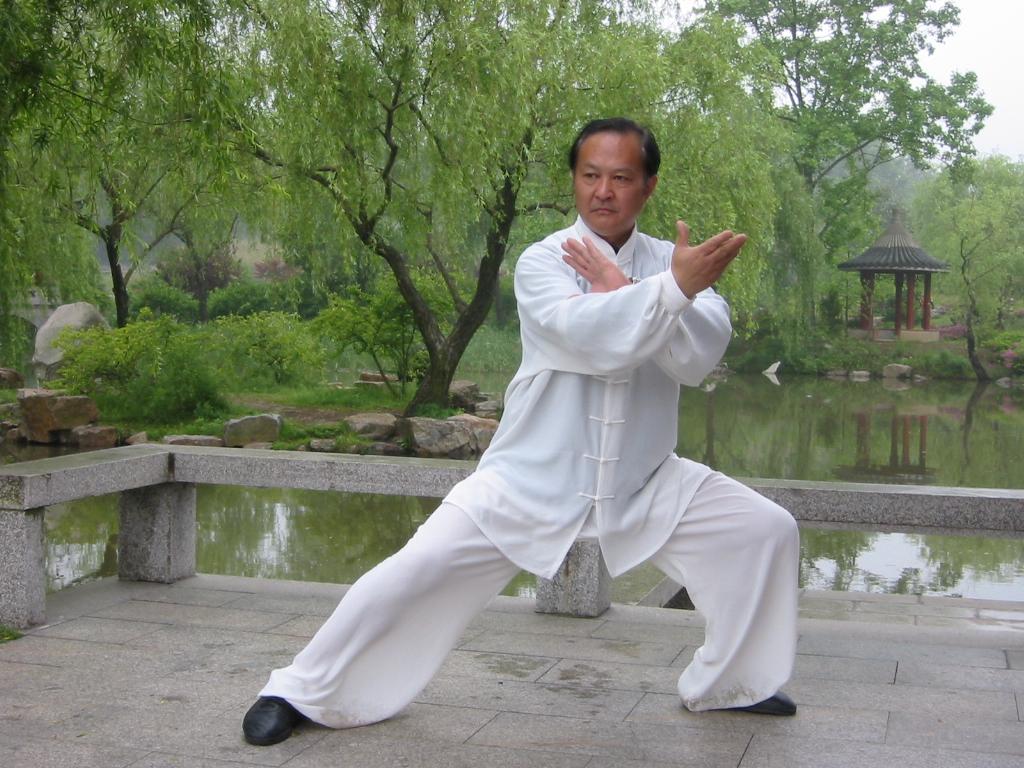 Тайцзи хайнань. Китайская гимнастика цигун. Гимнастика Тайцзи цигун. Цигун Дао. Цигун и тайцзицюань.