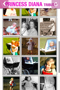 How to get Princess Diana Tribute patch 1.1.1.12 apk for android