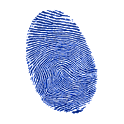 Fingerprint lock screen icon