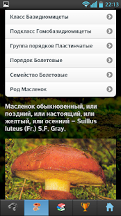 ЭкоГид: Грибы - Фото, Описание, Определитель(圖5)-速報App