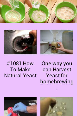 How to Grow Yeast