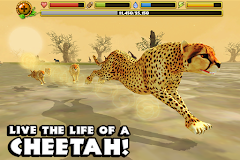 Cheetah Simulator