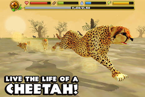 Cheetah Simulator(圖1)-速報App