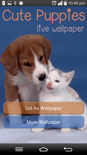 Cute Puppies Live Wallpaper