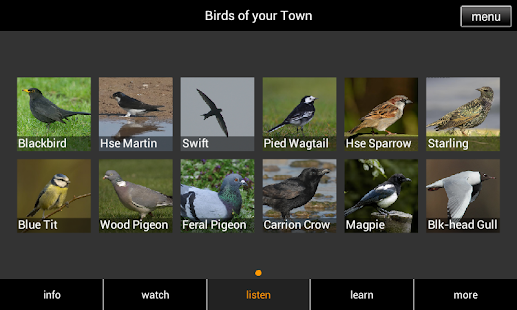 Birds of your Town Screenshots 6