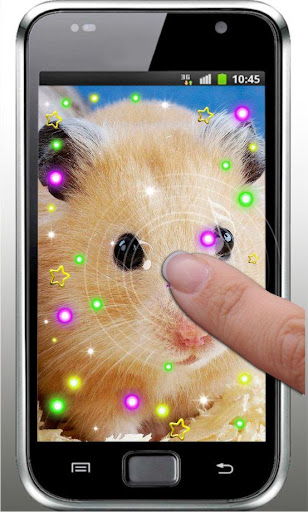 【免費個人化App】Hamster Pet live wallpaper-APP點子