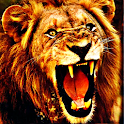 Lion King Sound Effects logo