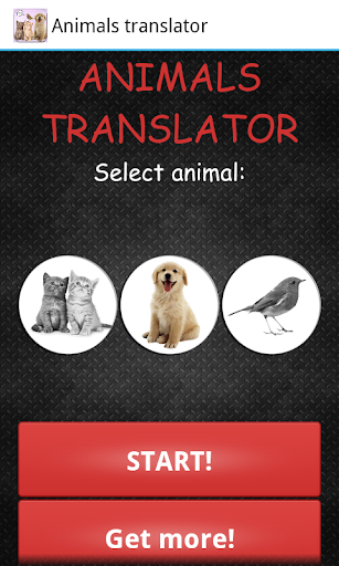 動物的翻譯