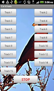 How to download Cardinal Bird Sound Effects patch 1.0 apk for pc