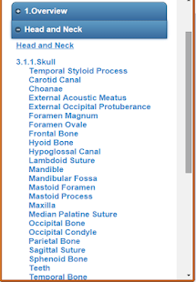 Skeletal System (Anatomy)(圖7)-速報App