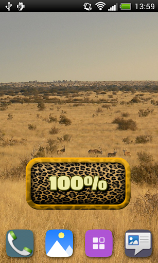 Leopard Battery Widget