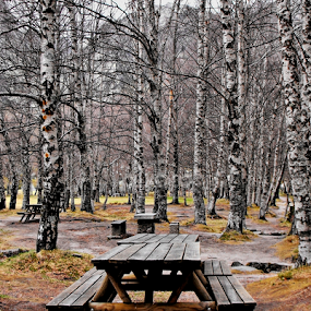 Parque de merendas by Ana Batista Constantino - City,  Street & Park City Parks