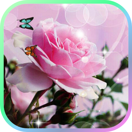 Chinese Rose Live Wallpaper 個人化 App LOGO-APP開箱王