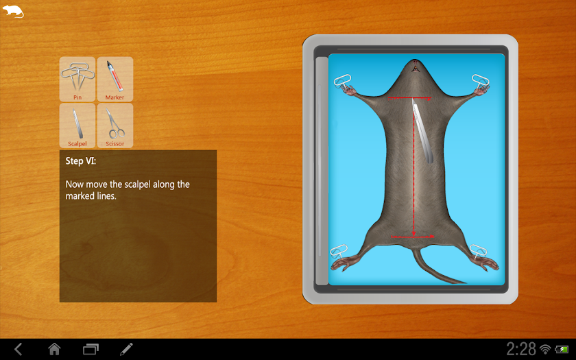 Rat Dissection for tablet Screen 3