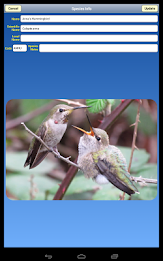 Birdwatcher's Diary poster 15