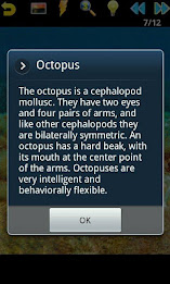 Ocean Puzzle poster 5