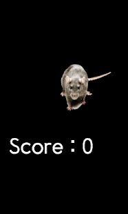 Download [FREE]CatToy2 APK