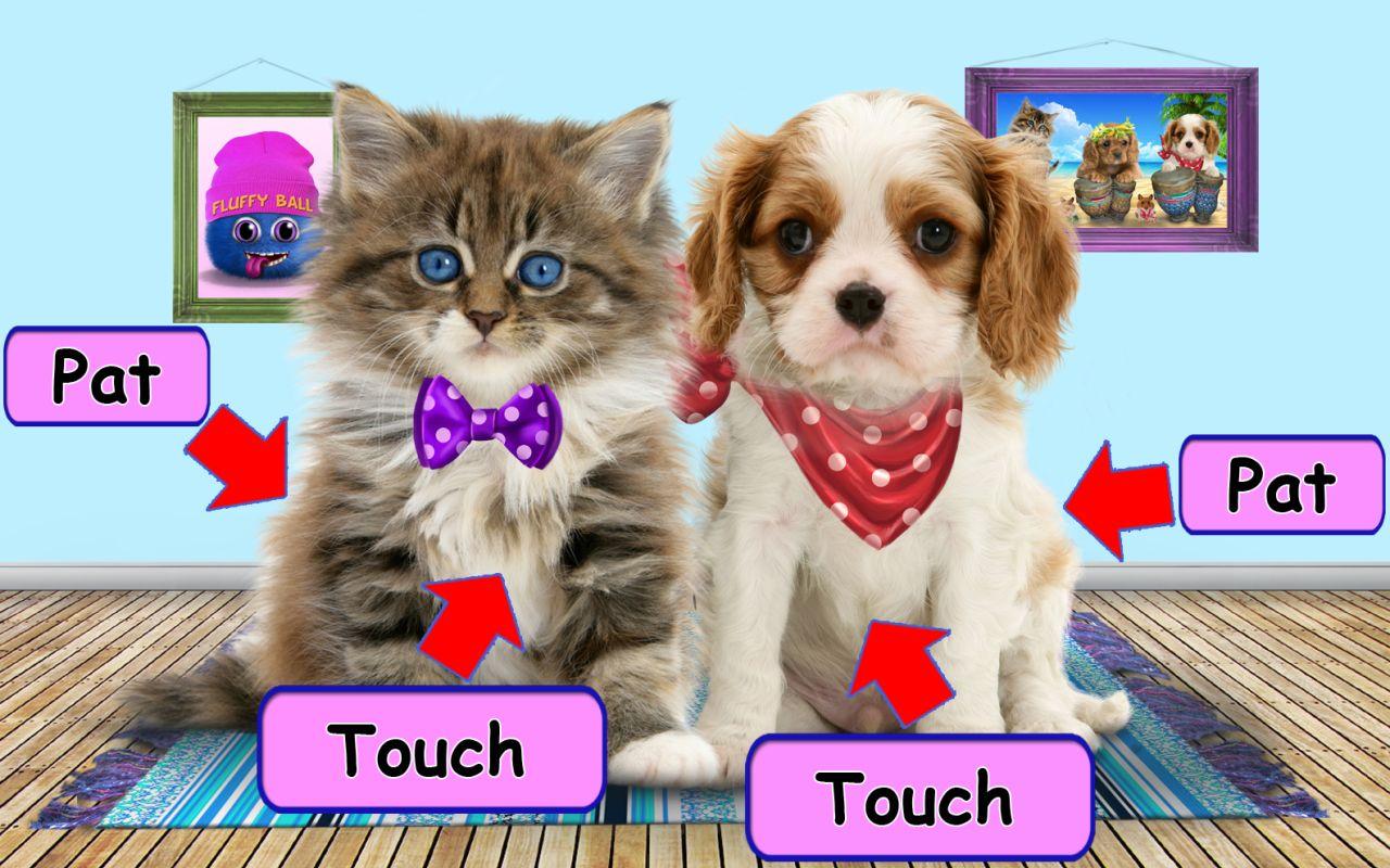 Berbicara Kucing Dan Anjing Apl Android Di Google Play