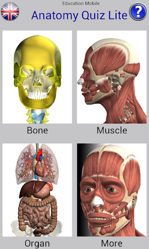 Anatomy Quiz Free