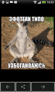 Узбагойся(圖5)-速報App